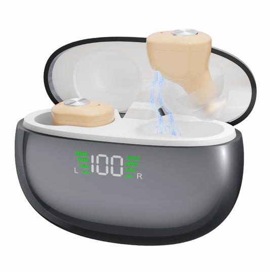 GM-953 Rechargeable Hearing Aids