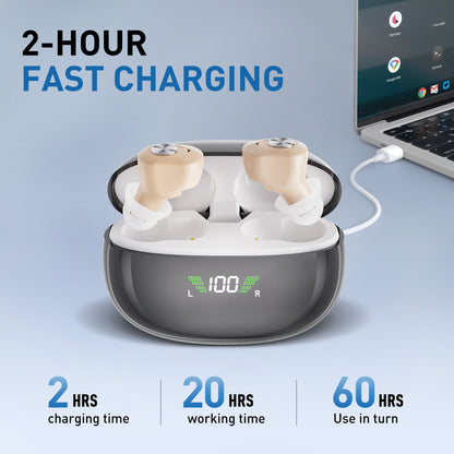 GM-953 Rechargeable Hearing Aids